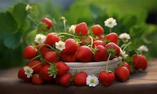 Load image into Gallery viewer, Flavorfest Strawberry plants