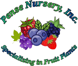 penseberryfarm.com