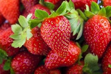Load image into Gallery viewer, albion strawberry