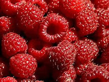 Load image into Gallery viewer, Heritage-Everbearing Red Raspberry