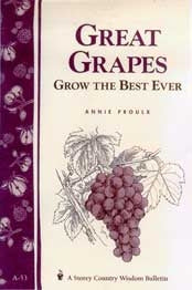 Great Grapes: Grow the Best Ever