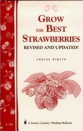 Grow the Best Strawberries