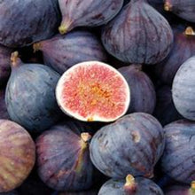 Load image into Gallery viewer, LSU Purple Fig
