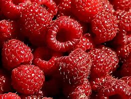 Heritage-Everbearing Red Raspberry