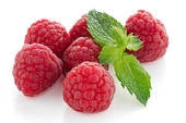 Nova Red Raspberry
